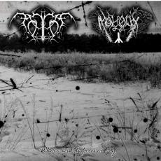 Moloch / Tomhet - Where Winds Forever Cry CD