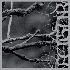 Feigur -  II, Desolation CD (Atmospheric, Ambient Black Metal)
