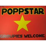 Poppstar - Groupies Welcome (Trschild)