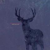 Cold Body Radiation - Deer Twillight Digi-CD